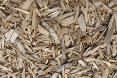 biomass boilers Hartlip